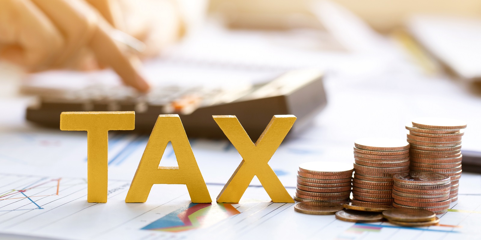 TaxBase Search
